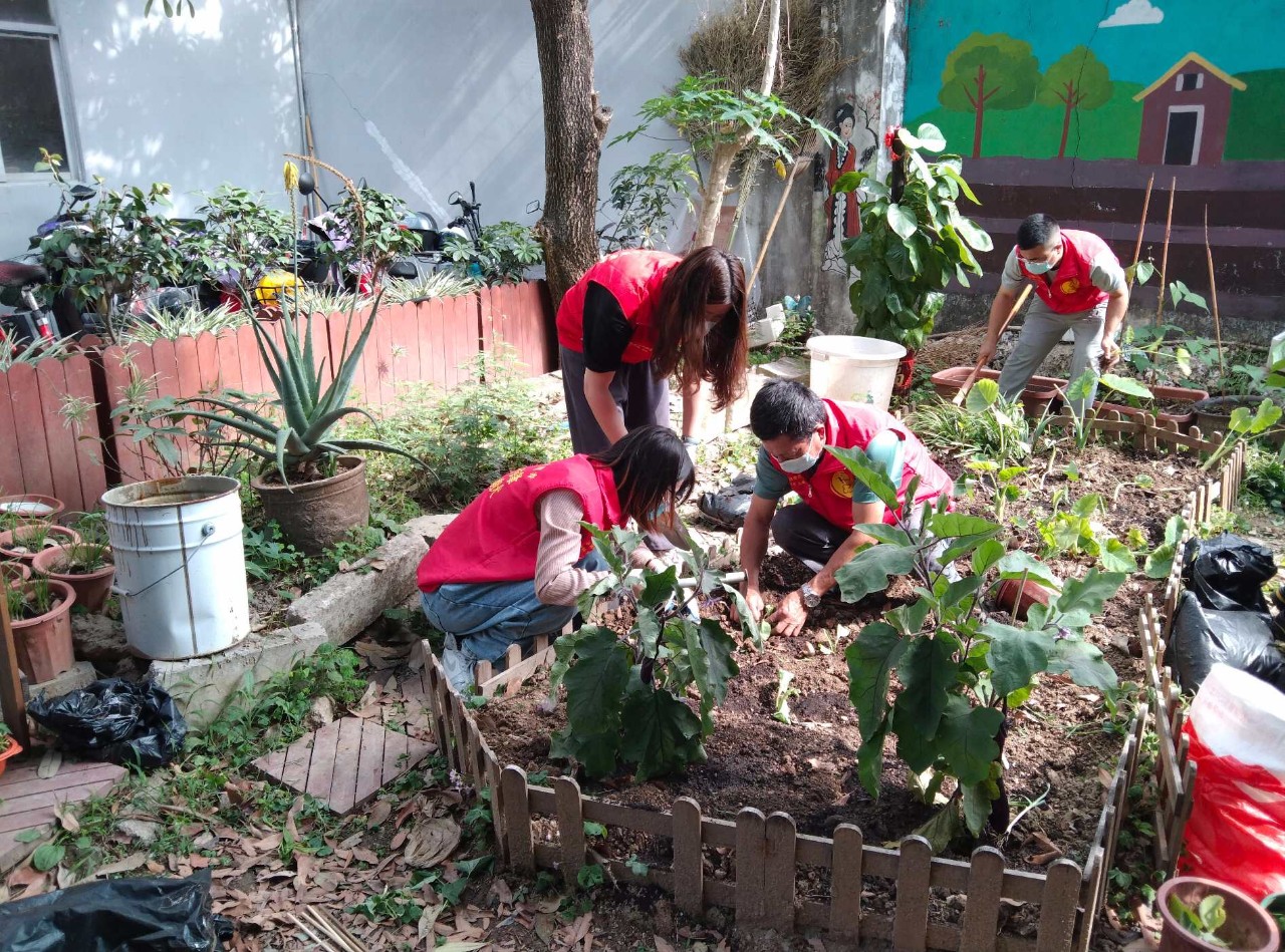 【党建】新动力展览入党积极分子参加吉华街道开展的“珍惜资源永续利用,绿化环境净化心灵”主题党日志愿活动(图2) 【党建】新动力展览入党积极分子参加吉华街道开展的“珍惜资源永续利用,绿化环境净化心灵”主题党日志愿活动(图2)