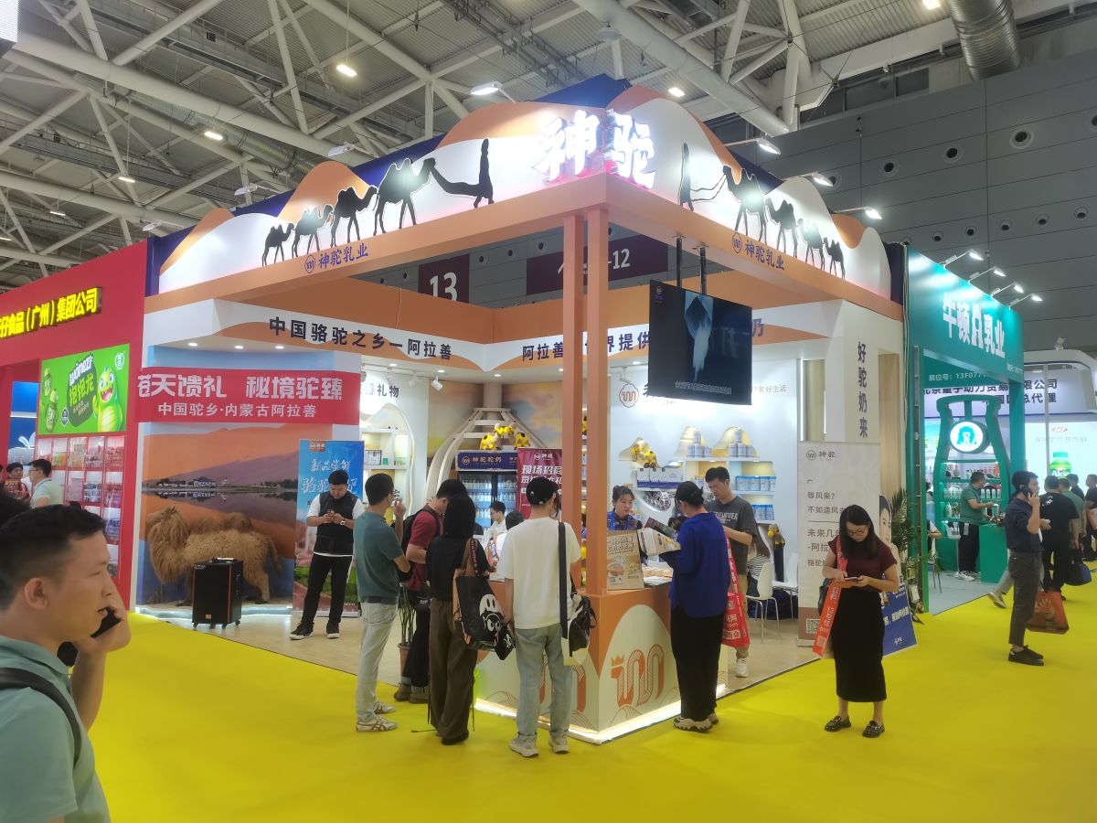美国石材展会的材料选择与搭建艺术