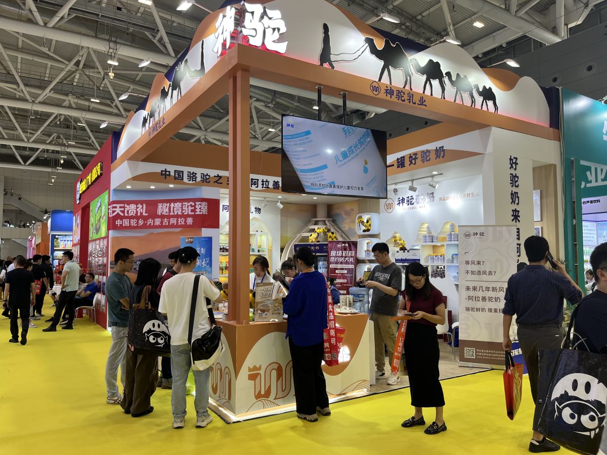 美国展会搭建价格比较与选择策略